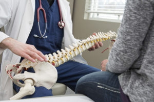 Doctor holding the spine section